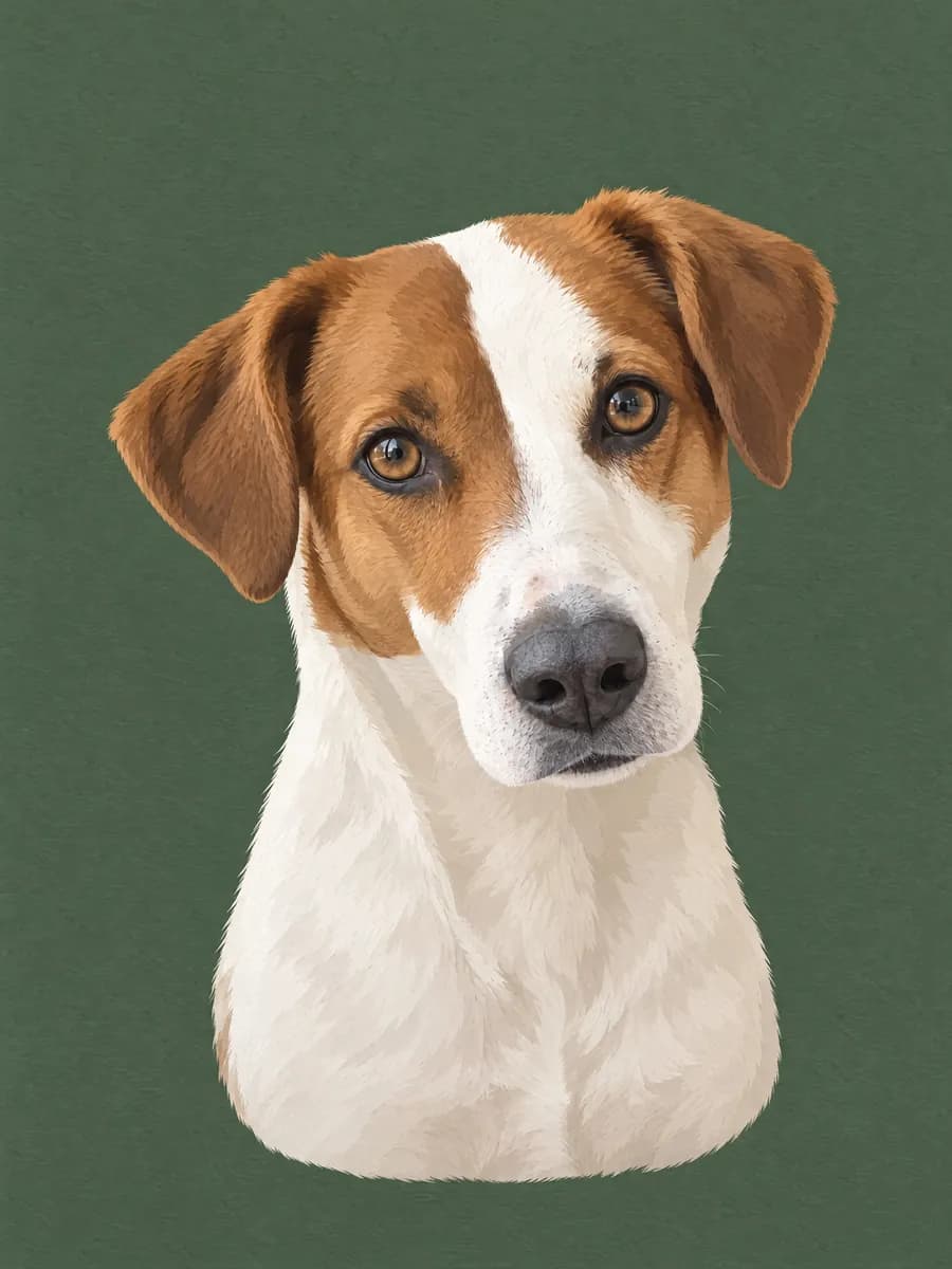 Galleria Minimal · Nina — Esempio di ritratto di animale in stile Galleria Minimal